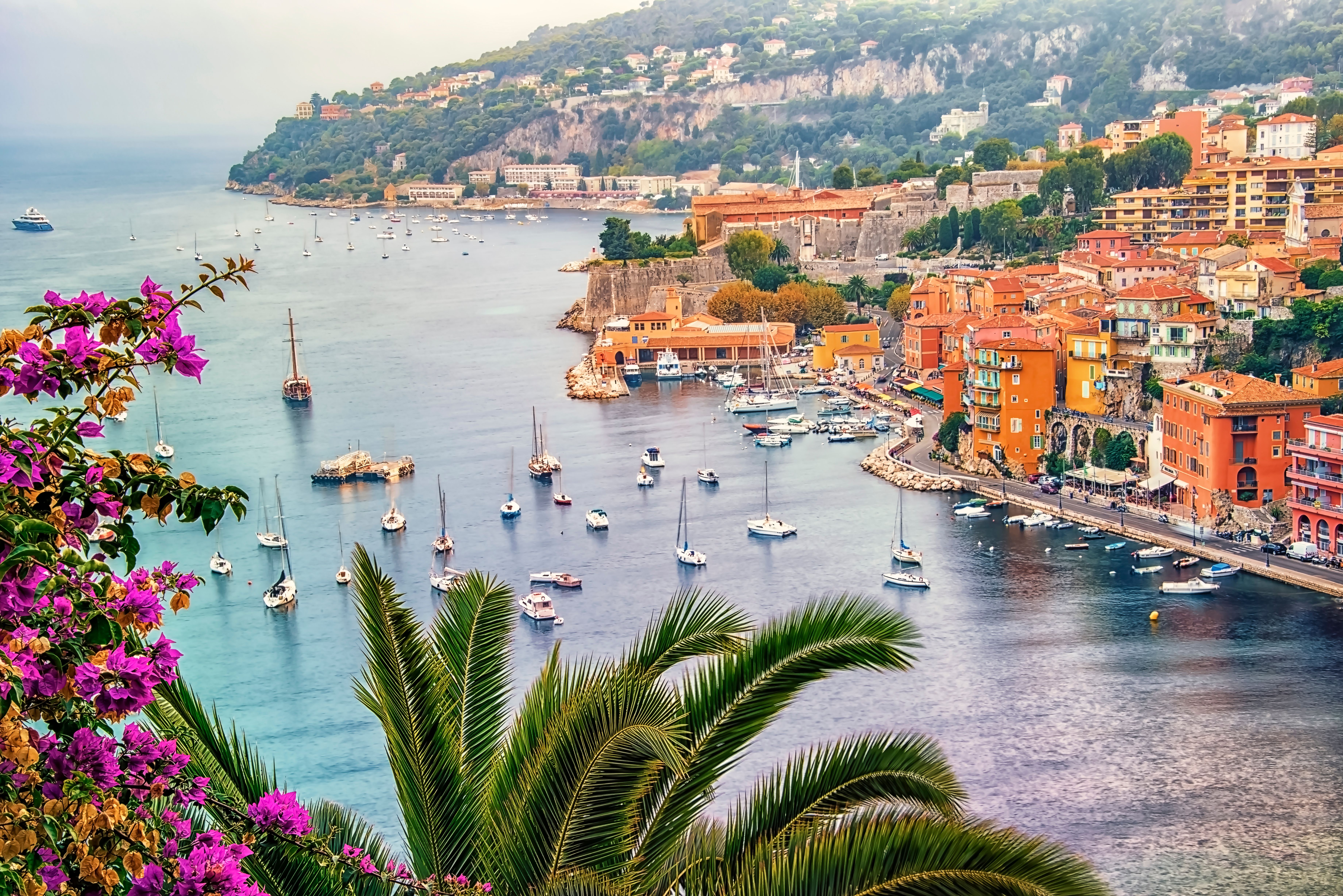 Panoramic view of Villefranche-sur-Mer harbor in the French Riviera, featuring numerous sailboats on clear blue water, a historic citadel, and colorful houses along the picturesque coastline, framed by vibrant purple bougainvillea and palm fronds.